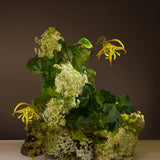 Geranium Leaf Hand Wash