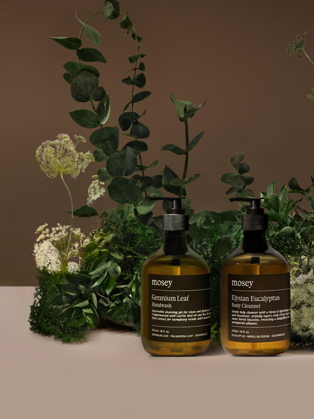 Introducing <br>hand & body care