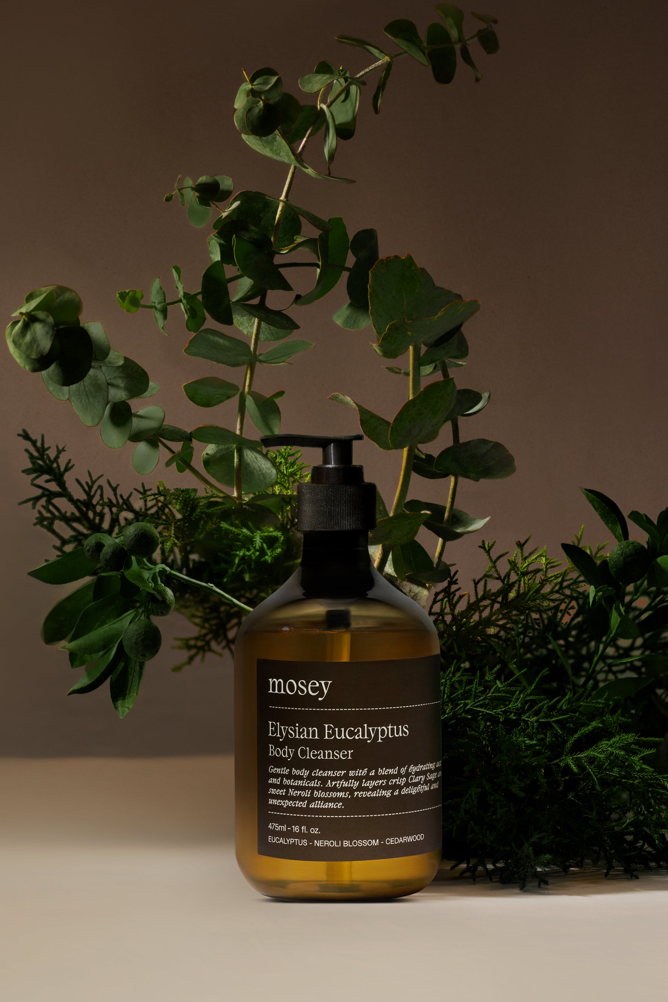 Bottle of mosey Eucalyptus Body Cleanser / Body Wash with plants & leaves representing the fragrance. Such as eucalyptus, Cedarwood & Neroli Blossom