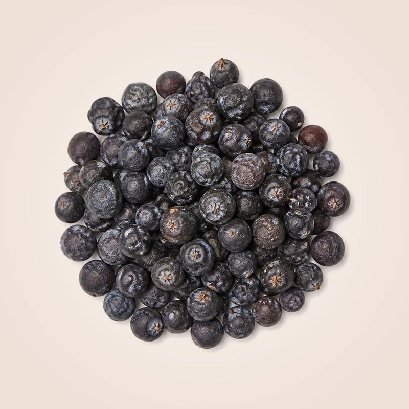 Juniper Berries