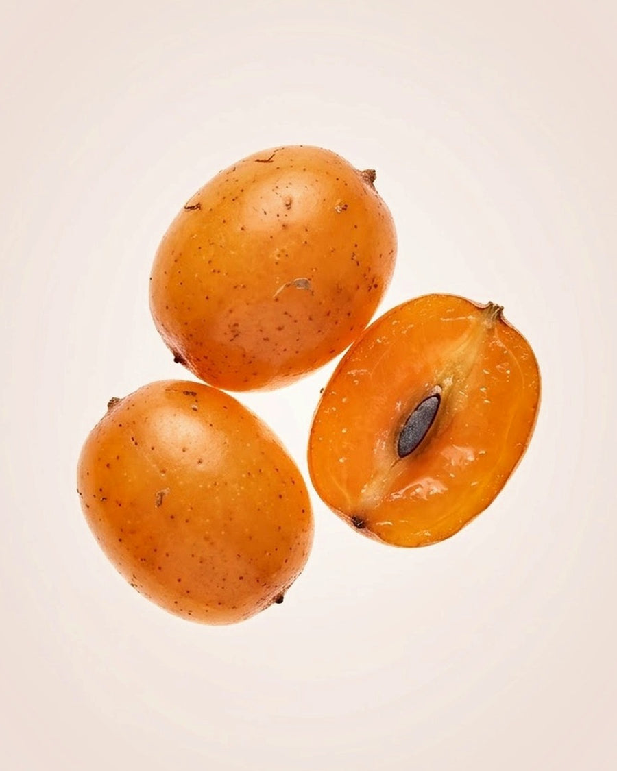 Sea Buckthorn Oil