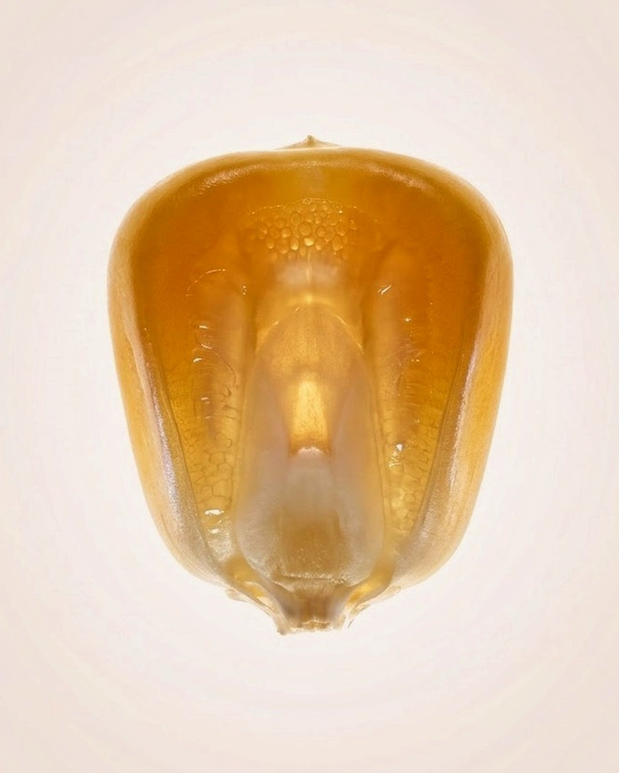 Zemea (Propanediol)